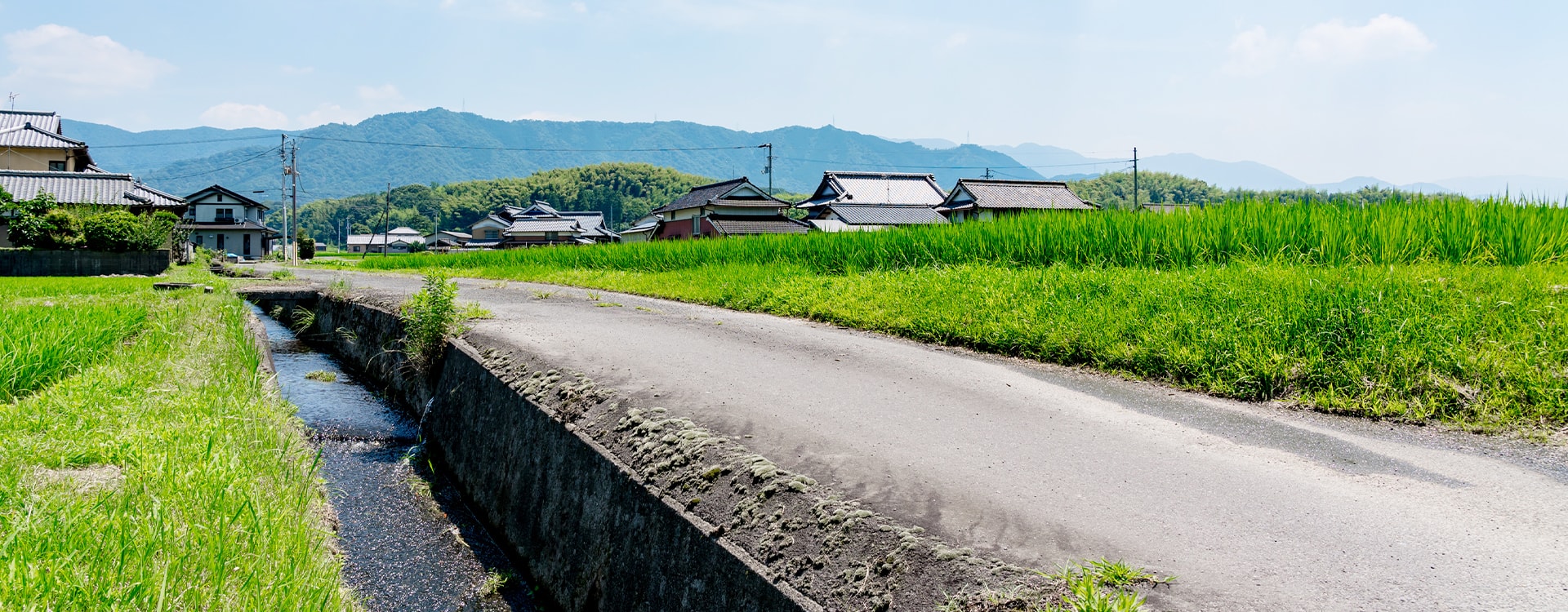 川田不動産