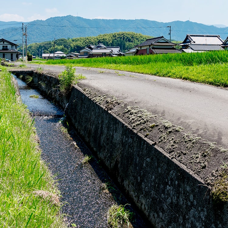 川田不動産